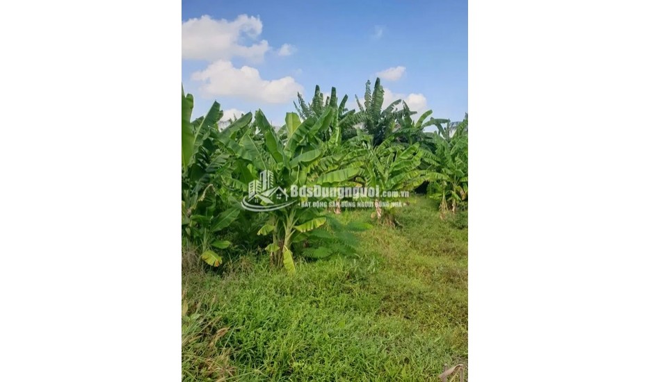 BÁN ĐẤT HXH QUỐC LỘ 1A - NGAY CHỢ BÌNH CHÁNH - 3200m2. TIỆN LÀM KHO XƯỞNG - BÃI XE - NHÀ VƯỜN HOẶC PHÂN LÔ.